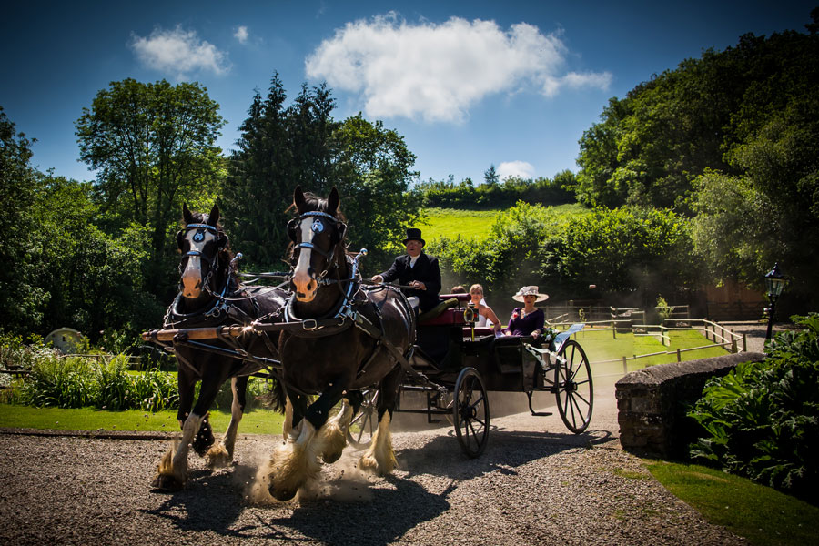 Elopement Wedding Venue Horse & Cart