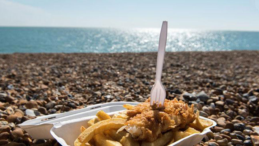 Fish & Chips